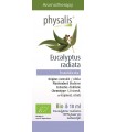 Olejek eteryczny EUCALYPTUS RADIATA (Eukaliptus australijski) BIO 10 ml - PHYSALIS