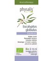 Olejek eteryczny EUCALYPTUS GLOBULUS (Eukaliptus gałkowy) BIO 10 ml - PHYSALIS