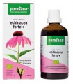 Echinacea FORTE (Jeżówka purpurowa) krople BIO 100 ml - PURASANA